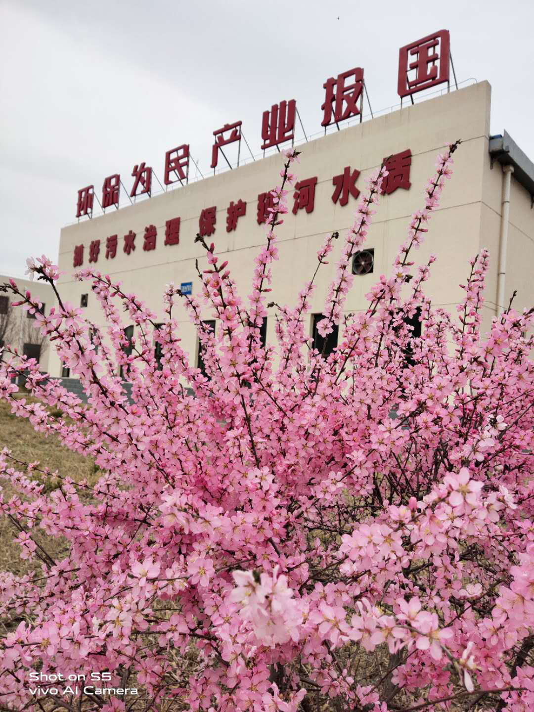 海洋之神·hy590(中国)最新官方网站