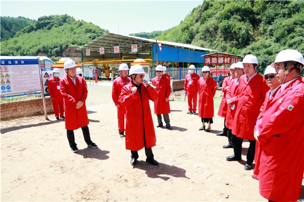 海洋之神集团复工复产促增添项目观摩聚会与会职员走进环保保隆生态三秦在延在铜项目