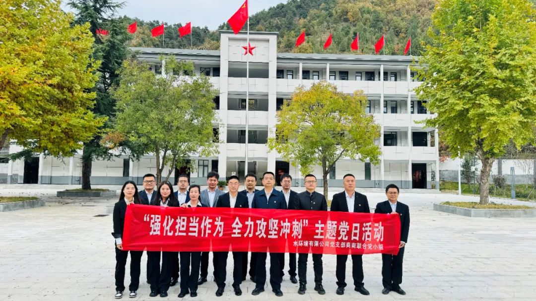 水情形公司党支部商南联合党小组开展“强化继续作为 全力攻坚冲刺”主题党日活动